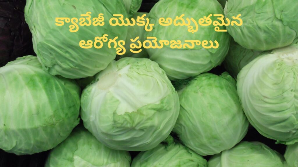 health benefits of cabbage in telugu
