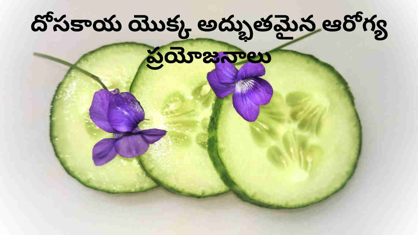 health benefits of cucumber in Telugu