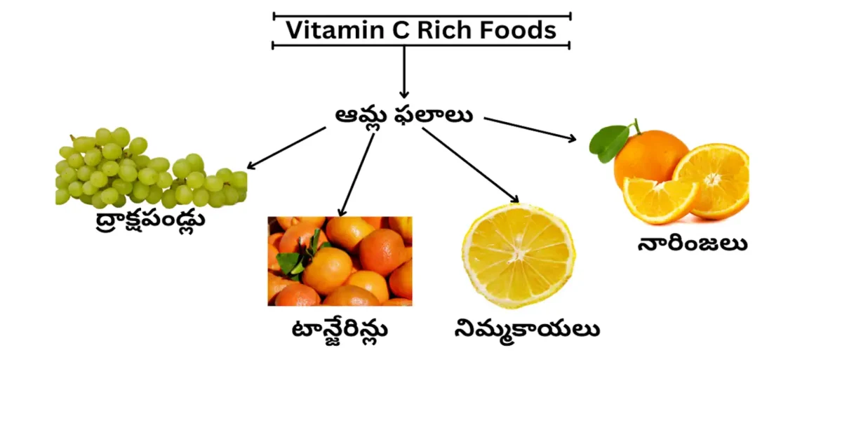 Citrus Fruits rich in Vitamin C