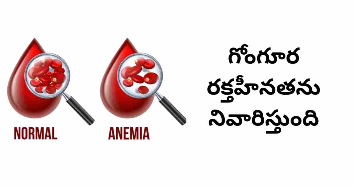 Gongura health benefits in Telugu
