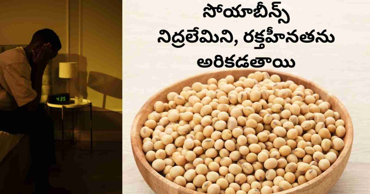 Soybeans benefits in Telugu